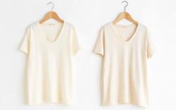ts10_01.jpg