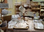 3/16（土）-3/31（日）センター北のNatural & Harmonic PLANT’Sに出店します！