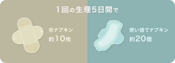 1回の生理5日間で使い捨てナプキン約20個 布ナプキン約10枚