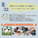 8/22(日)　糸つむぎ・綿くりワークショップ開催！＠千葉・南房総市